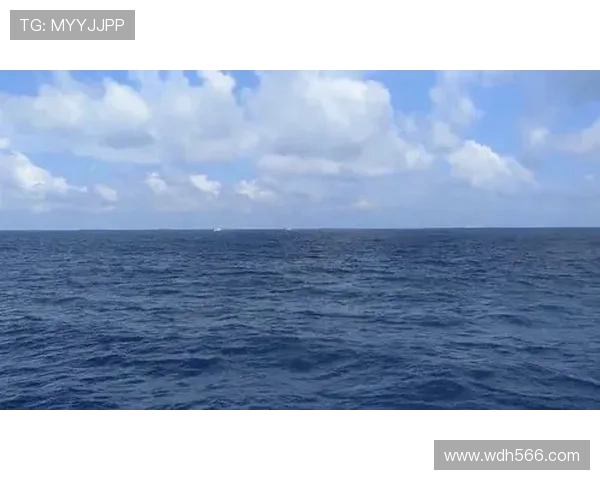 凤凰风直播：直击现场，感受最真实的风暴瞬间